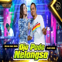 Download Lagu Difarina Indra - Ojo Podo Nelongso Ft Fendik Om Adella Terbaru