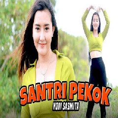 Download Novi Sasmita X Bajol Ndanu - Santri Pekok Mp3